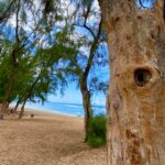 Plage de St Leu