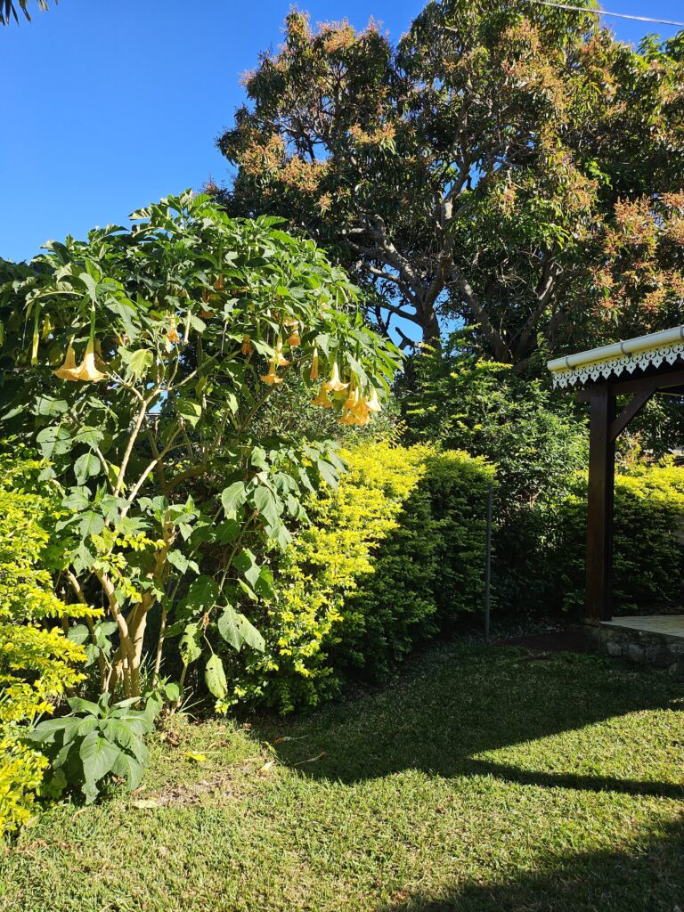 jardin
