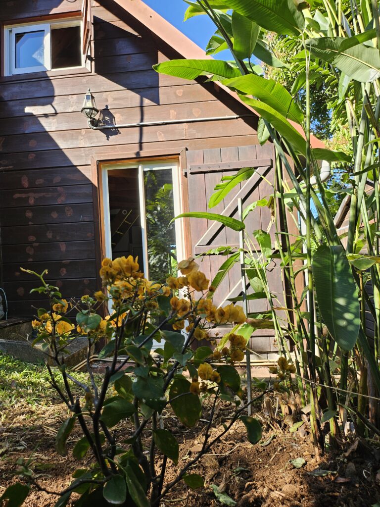 jardin arrière